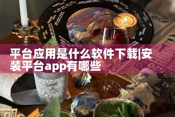 平台应用是什么软件下载