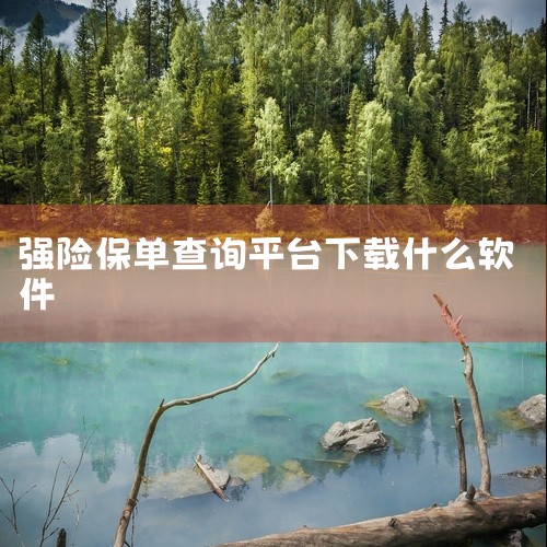 交强险电子保单可以在以下平台下载：一、保险公司官方网站 大多数保险公司都提供了官方网站作为电子保单的下载渠道。车主只需登录相应保险公司的官方网站，使用个人账号登录后，即可在“我的保单”或类似选项中查找|