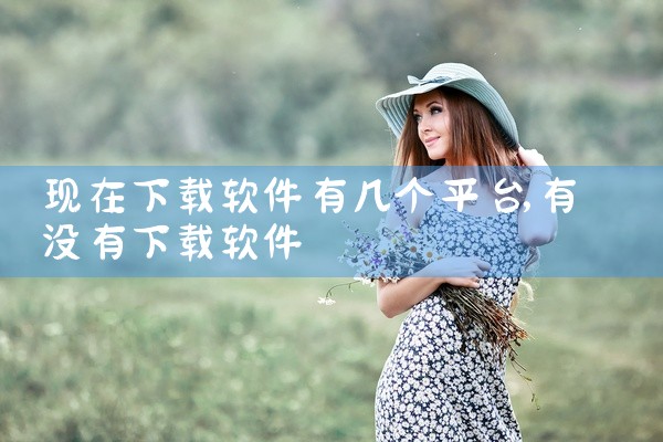 现在下载软件有几个平台